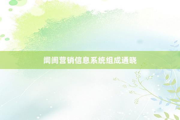 阛阓营销信息系统组成通晓